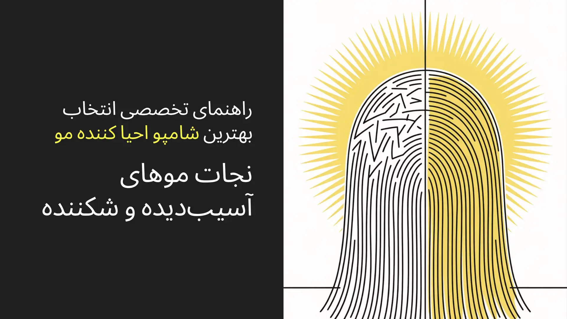 راهنمای تخصصی انتخاب بهترین شامپو احیا کننده مو (نجات موهای آسیب‌دیده و شکننده)