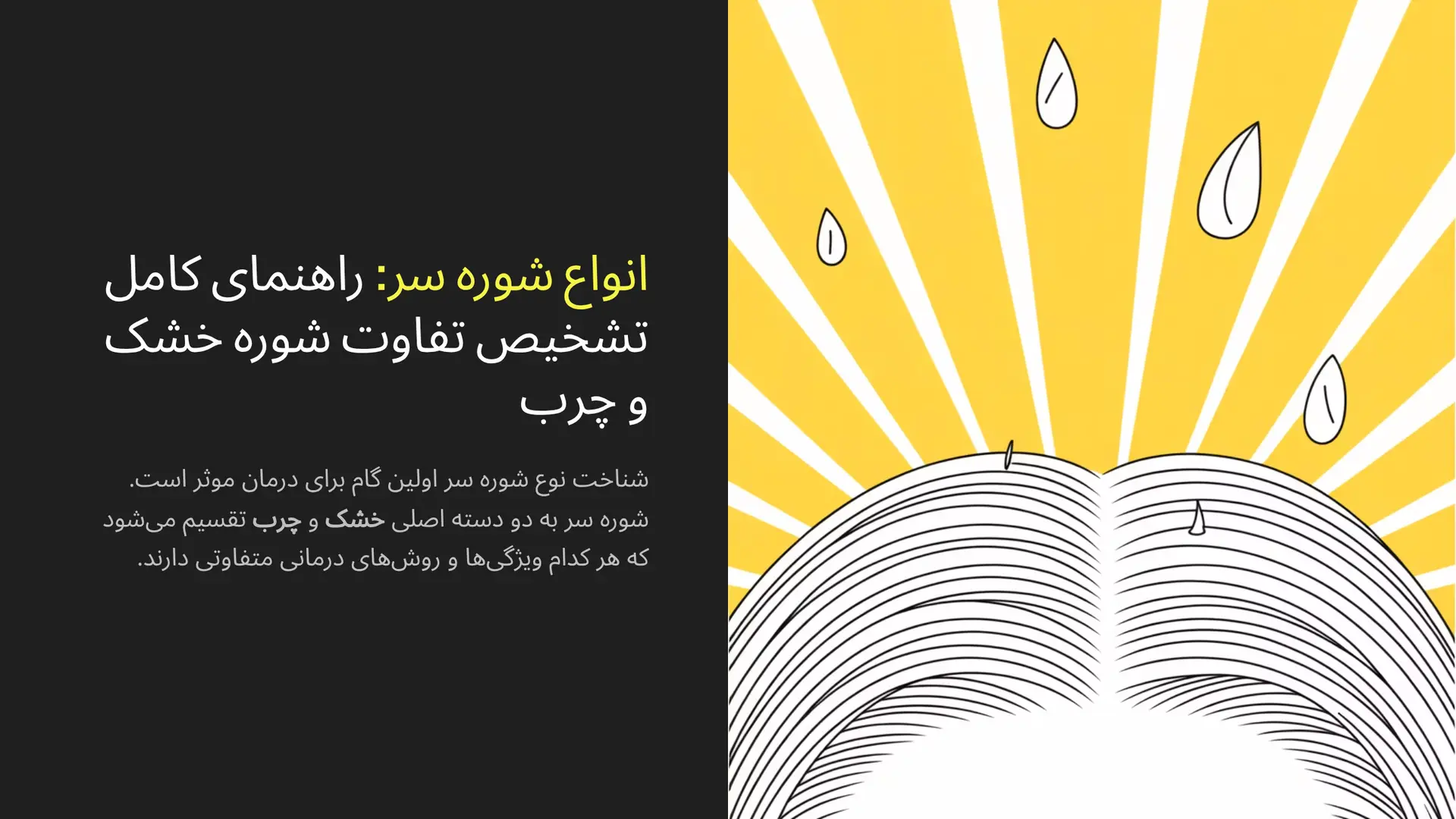 انواع شوره سر: راهنمای کامل تشخیص تفاوت شوره خشک و چرب