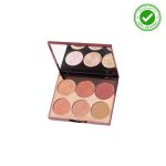 پالت رژگونه فیوچر میکاپ FU4101