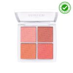 پالت رژگونه فیوچر میکاپ  FU3601
